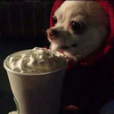 meatloaf-gravy avatar