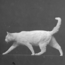 mechanicalsamsara avatar