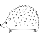 meddythehedgie avatar