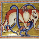 medieval-elephants avatar