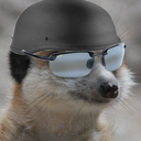 meerkatears avatar