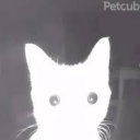 meestasparkle avatar