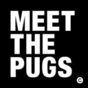 meetthepugs avatar