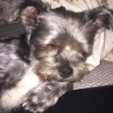 meganbookworm avatar