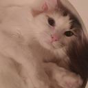 megarainbowcrash avatar