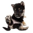 meiancholythoughts avatar