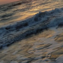 melissa-sblog avatar