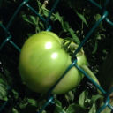 mellownightperson avatar