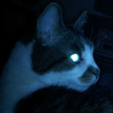 melodicwarfare avatar