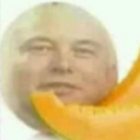 melon-musk avatar