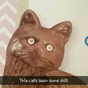 meloncreature avatar