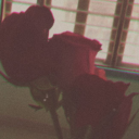 melted--roses avatar