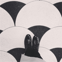 memoriesinajar avatar