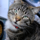 memoriesinframe avatar