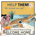 memoryisaneventhorizon avatar