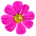 men-to-dream-of-general avatar