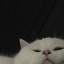 mente-confundida-blog avatar