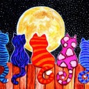 meowingatthemoonhastomanyanimals avatar