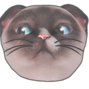 meowsaucepan avatar