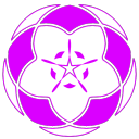 meraki-musings avatar