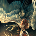 merhasstellyrhas avatar