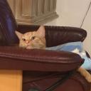 merlinfromberlin avatar