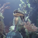 mermaid-anon avatar