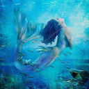 mermaid-aurora avatar