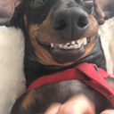 mermaidbootty avatar