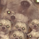 mermaidhideout avatar