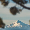 merry-lillian avatar