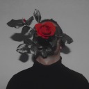 mesecevodete768 avatar