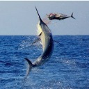 messagesfrommothernature avatar