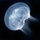 metadatalibrarian avatar