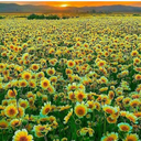 metalcizombie avatar