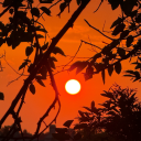 metalhyderider avatar