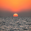 metamorfosis-coherente avatar