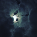 metaphysical-objectivism avatar