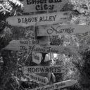 mezzoravenclaw avatar