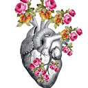 mi-crush-perdido avatar