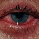 mi-vida-en-reblogs avatar