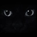 mia-please-goaway avatar