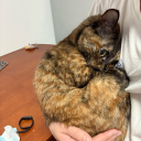 michaelmoabelo avatar