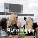 michiganstatesigmakappa avatar