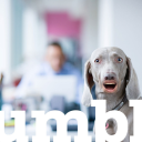 mid-nightstudy avatar