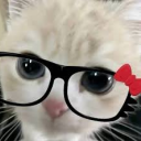 midnight0bubbles avatar