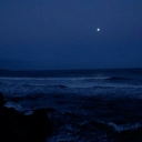 midnightaries avatar