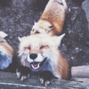 midnightbluex8x3x avatar