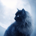 midnightmooncat avatar