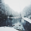 midnightsadness avatar